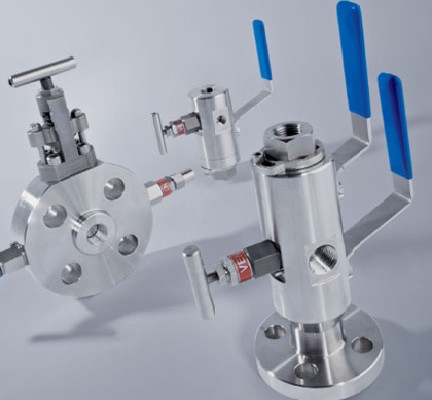 Instrumentation & Piping Valve